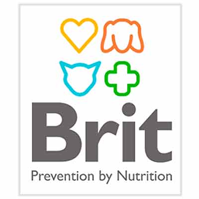 Brit