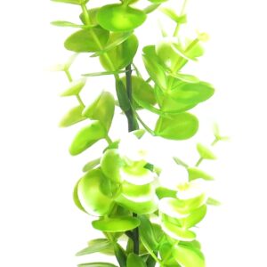 Изк.растение BIO Aqua Eucalyptus 23см - 385002