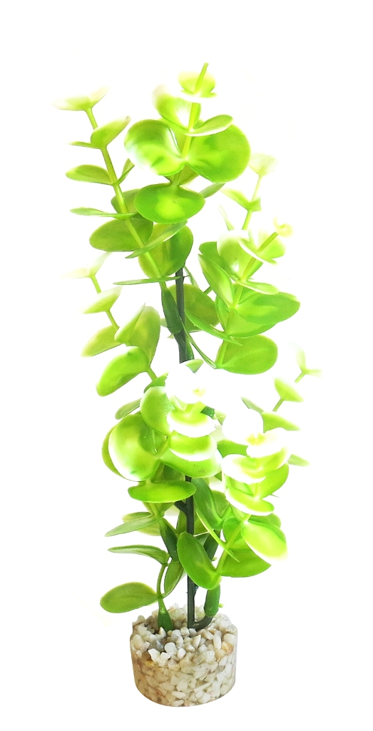 Изк.растение BIO Aqua Eucalyptus 23см - 385002