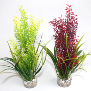 Растение Tropica 20см от Sydeco, Франция