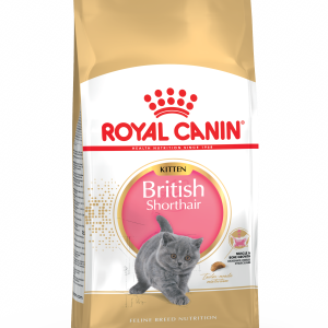 ROYAL CANIN® FBN BRITISH SHORTHAIR KITTEN 10кг