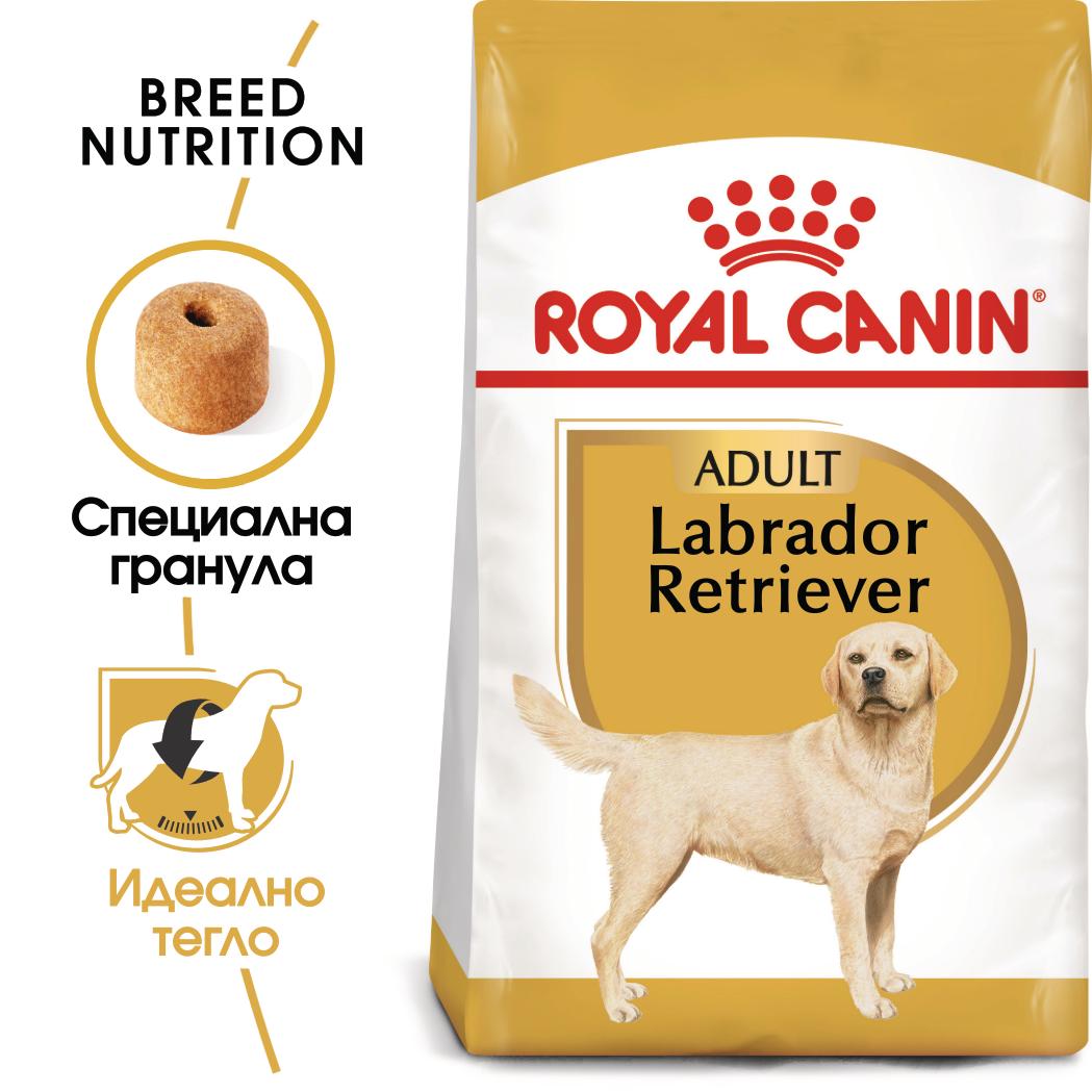 hrana-za-kiche-royal-canin-adult-labrador-retriever
