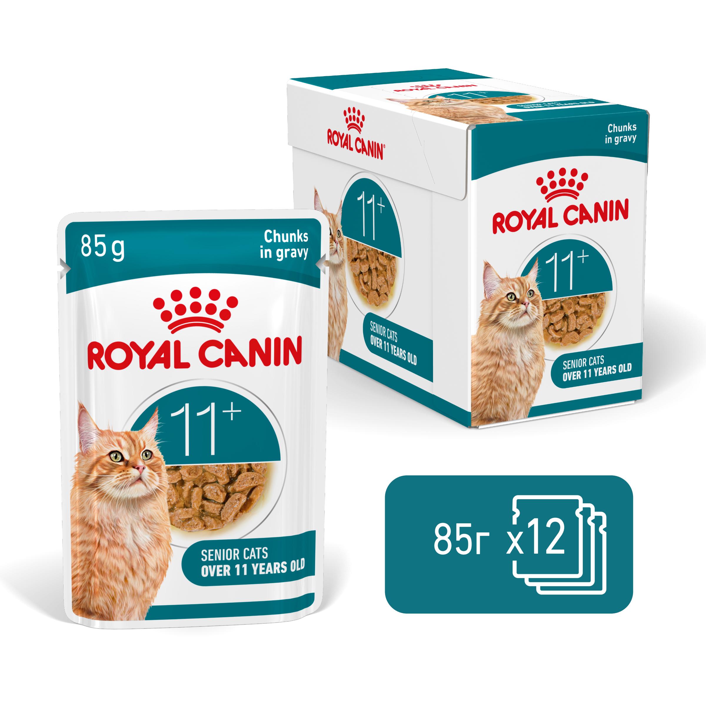 hrana-za-kotka-royal-canin-ageing-11-in-gravy