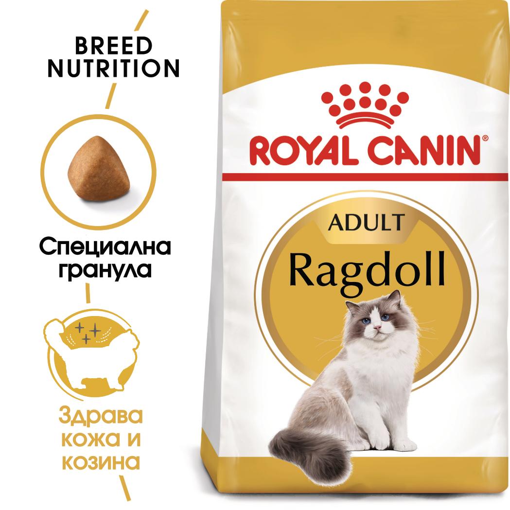 hrana-za-kotka-royal-canin-ragdoll