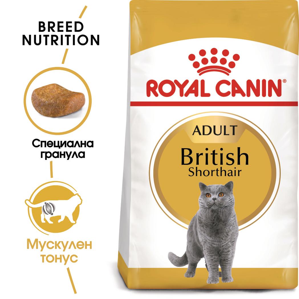 hrana-za-kotki-royal-canin-british-shorthair
