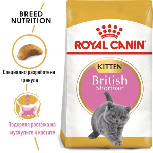 hrana-za-kotki-royal-canin-kitten-british-shorthair