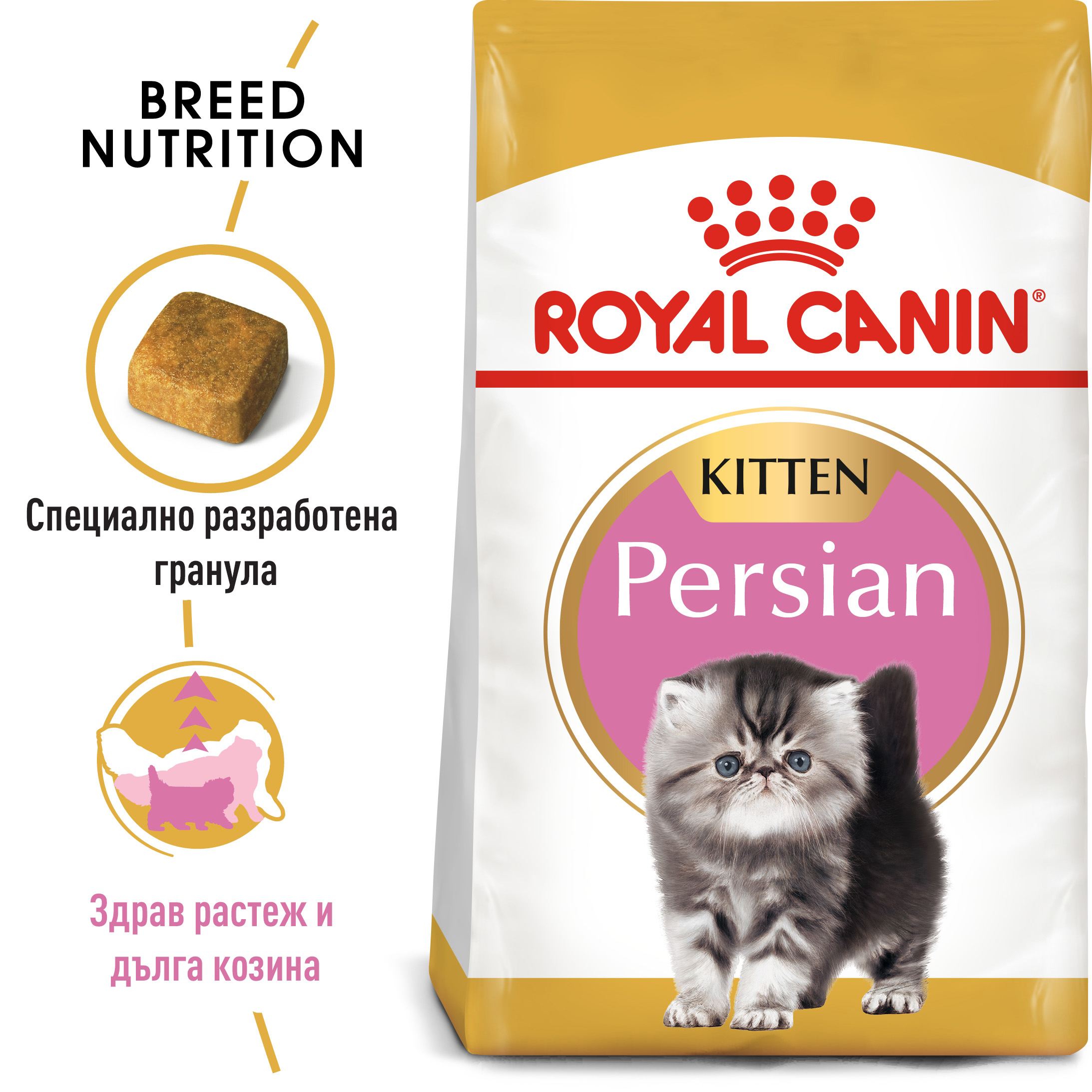 hrana-za-kotki-royal-canin-kitten-persian