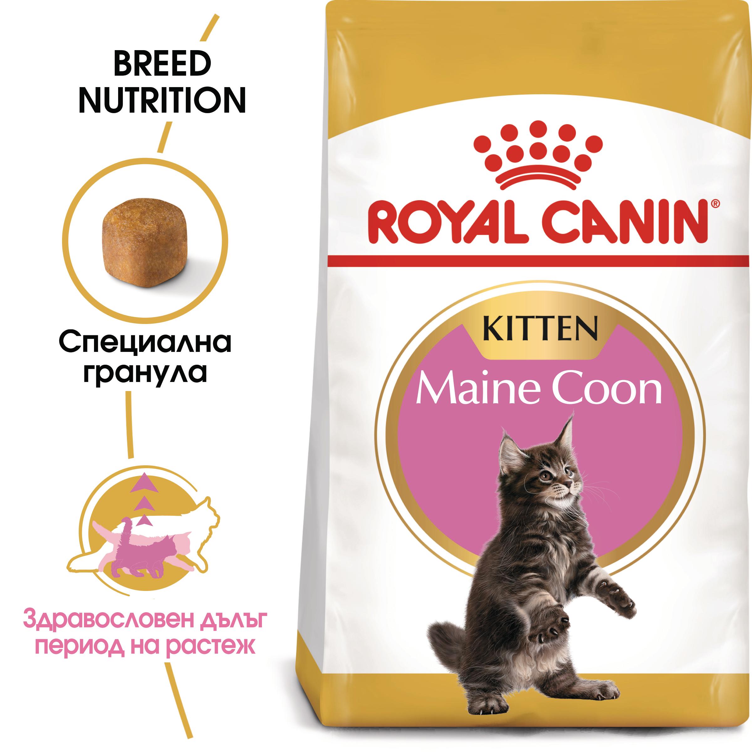hrana-za-kotki-royal-canin-mainecoon-kitten