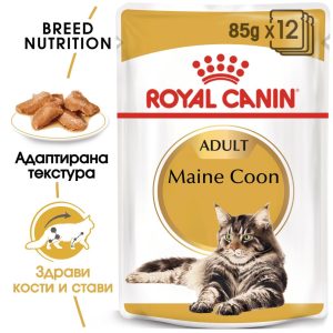 hrana-za-kotki-royal-canin-mainecoon-wet