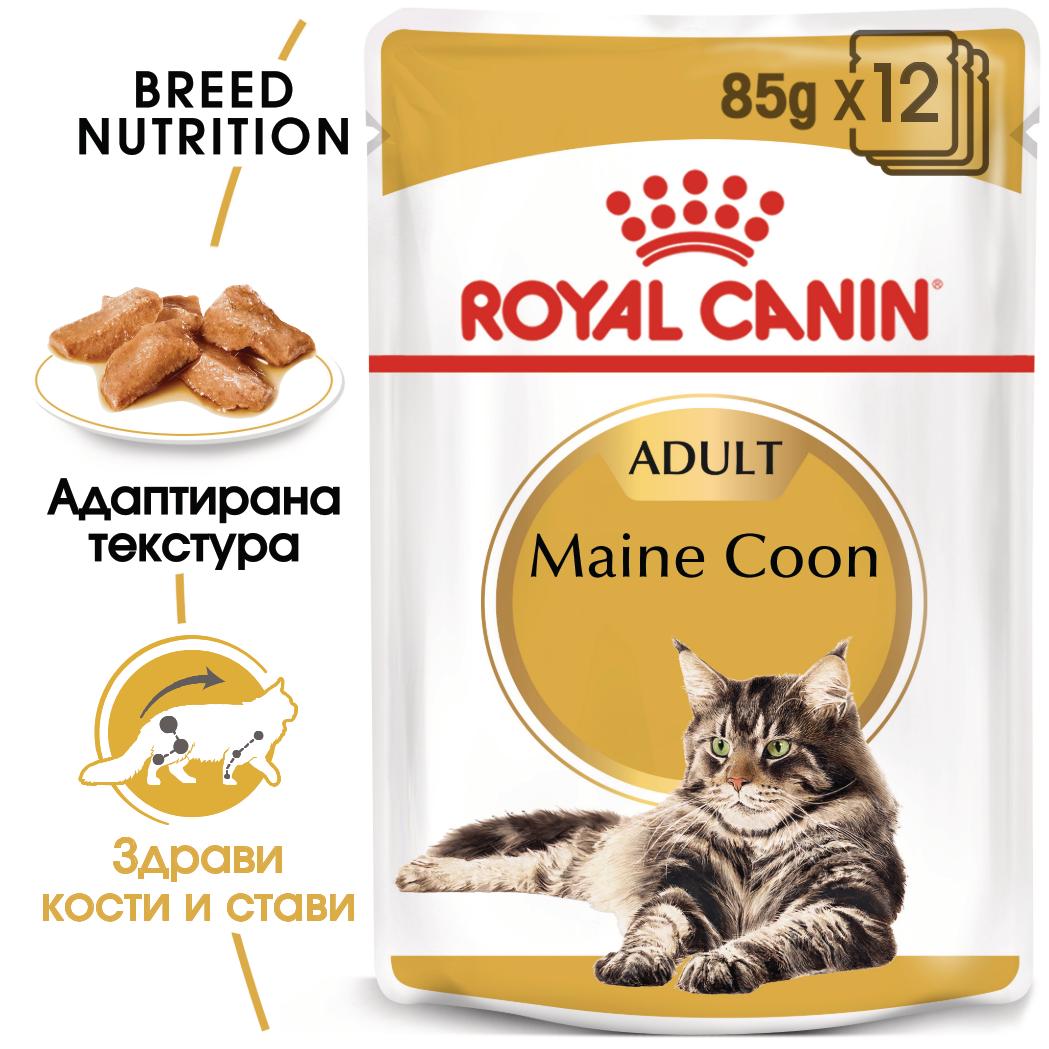 hrana-za-kotki-royal-canin-mainecoon-wet