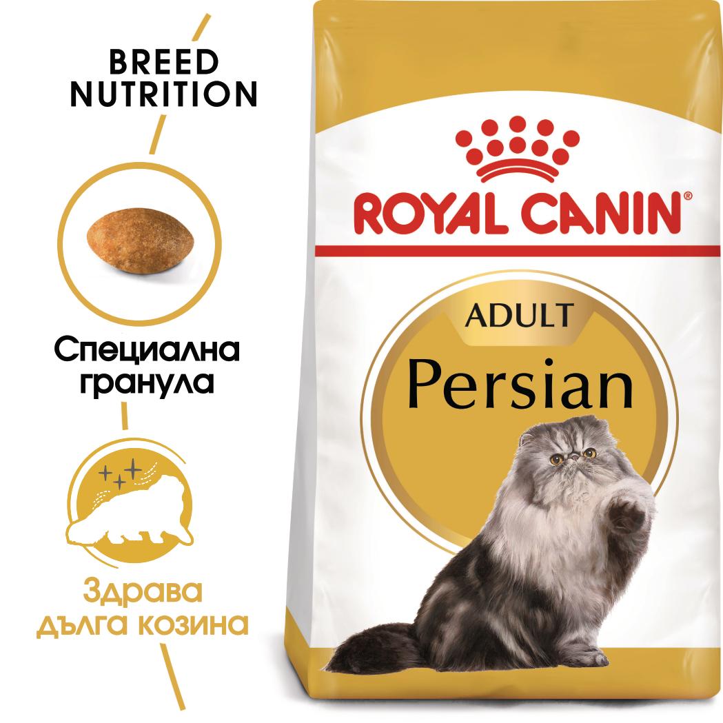 hrana-za-kotki-royal-canin-persian