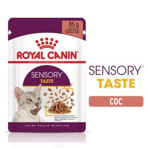 sensory-taste-pouch-gravy