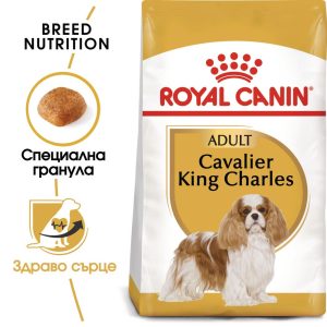 hrana-za-kuche-royal-canin-cavalier-king-charles-adult