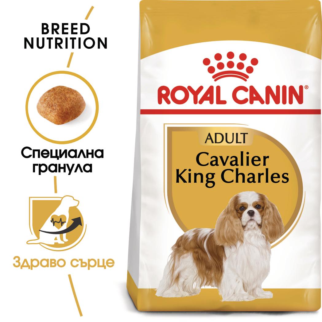 hrana-za-kuche-royal-canin-cavalier-king-charles-adult
