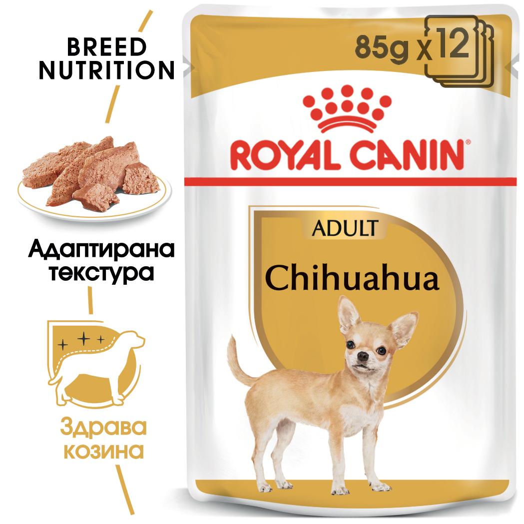 hrana-za-kuche-royal-canin-chihuahua
