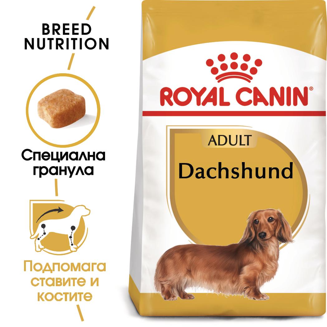 hrana-za-kuche-royal-canin-dachshund-adult