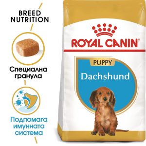 hrana-za-kuche-royal-canin-dachshund-junior