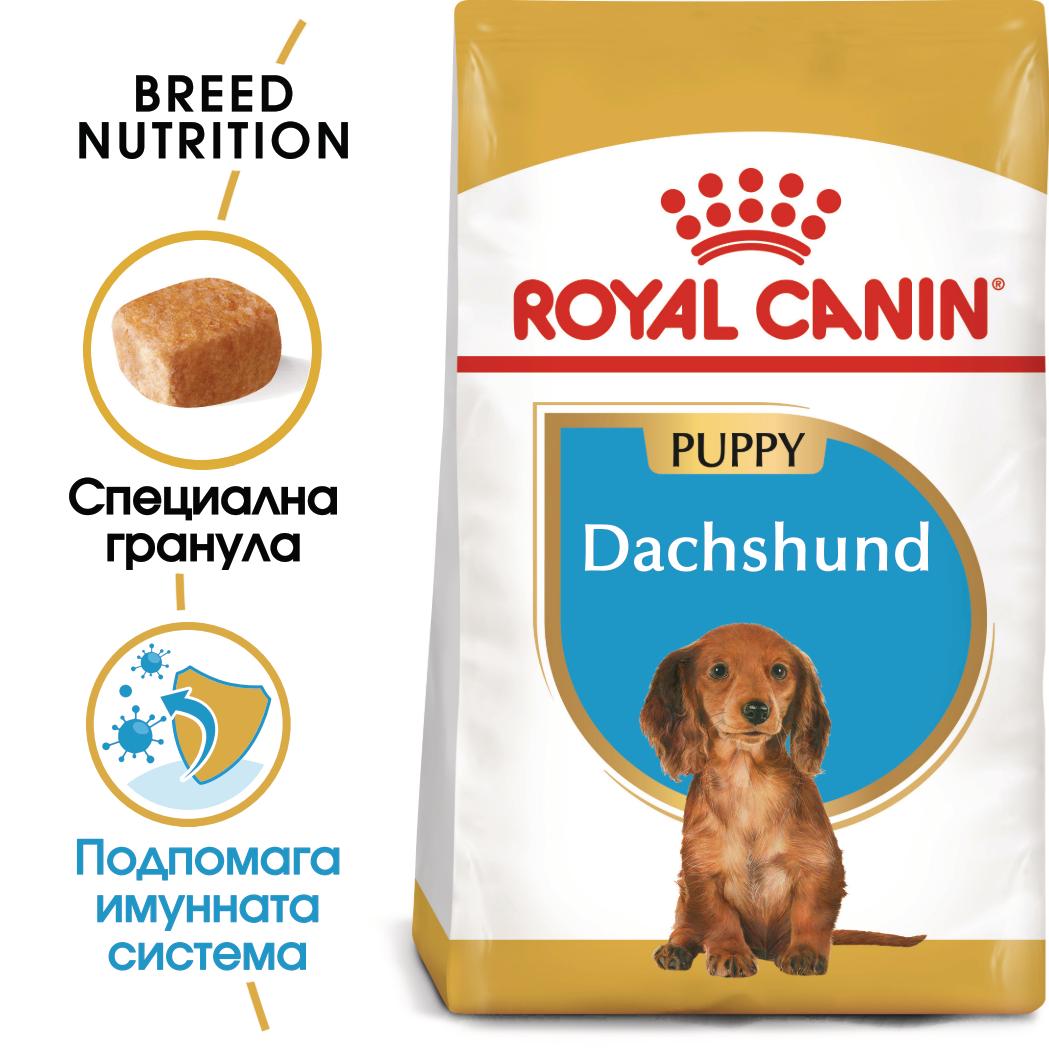 hrana-za-kuche-royal-canin-dachshund-junior