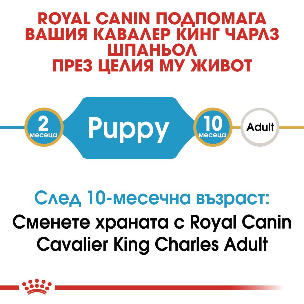 ROYAL CANIN® BHN CAVALIER KING CHARLES SPANIEL PUPPY 1.5кг - Image 5