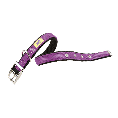 DUAL CF15/35 COL.COLLAR PURPLE