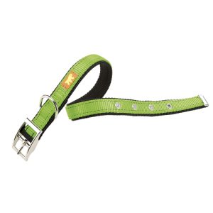 DUAL CF20/43 COL.COLLAR GREEN