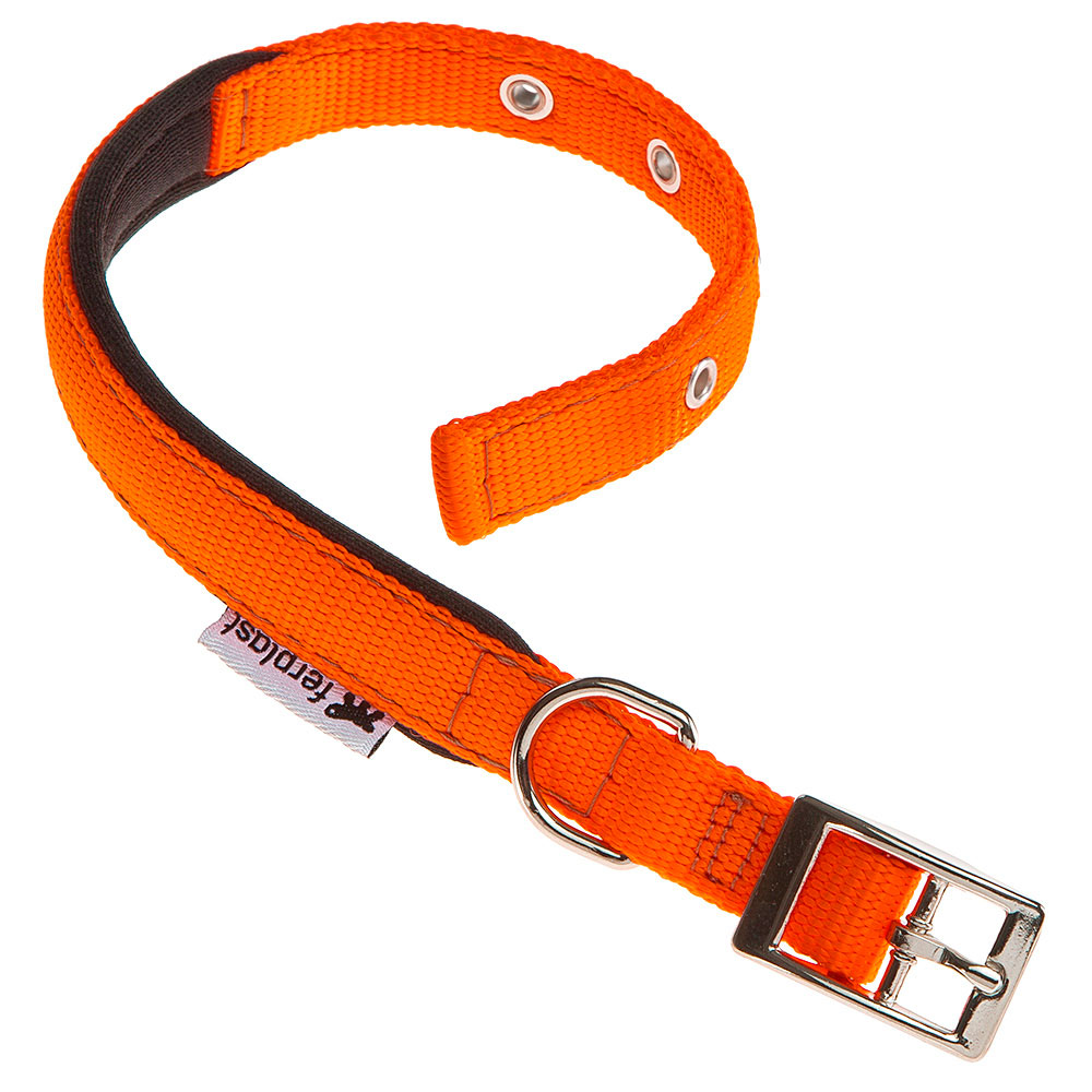 DAYTONA C20/43 COLLAR ORANGE