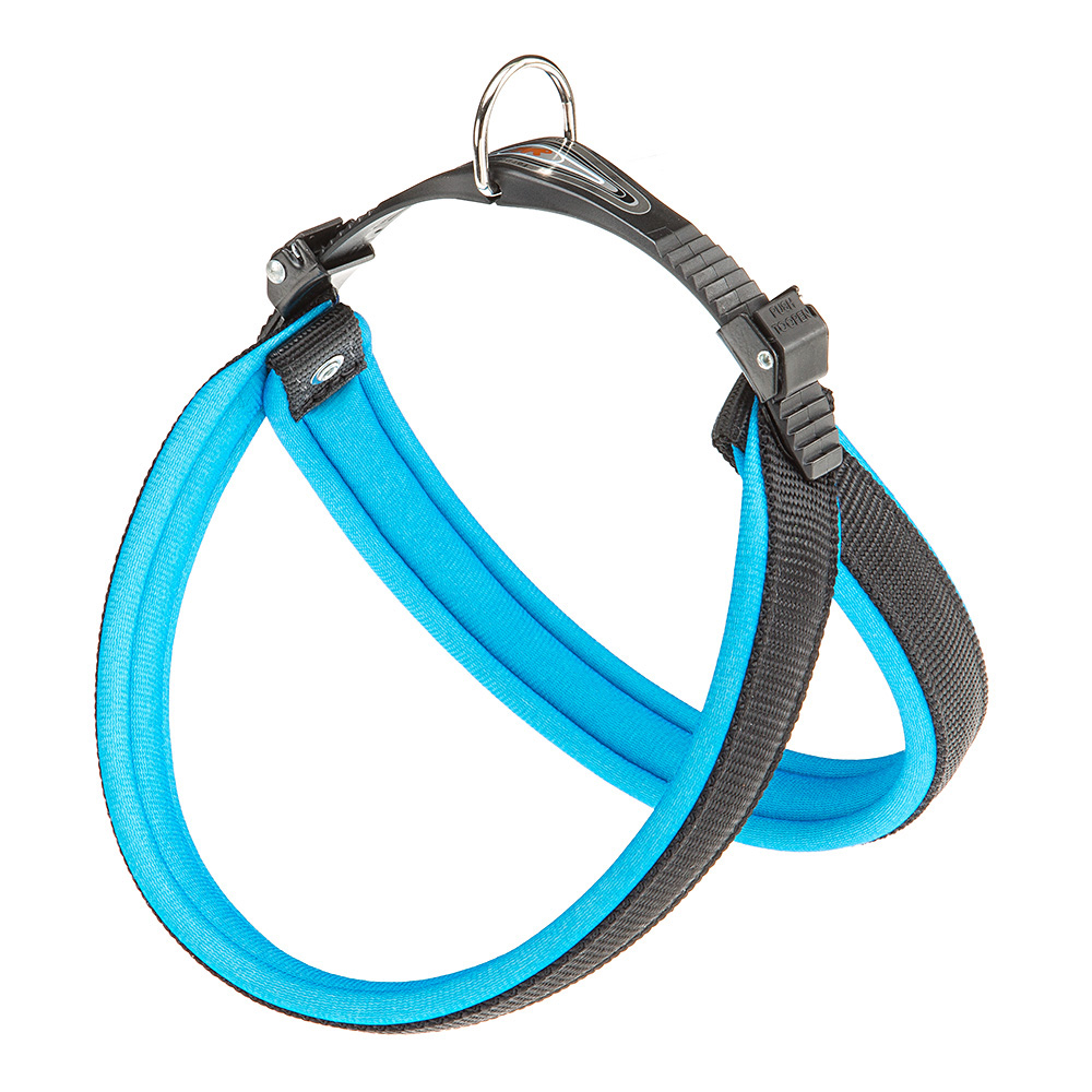 AGILA FLUO 4 HARNESS BLUE