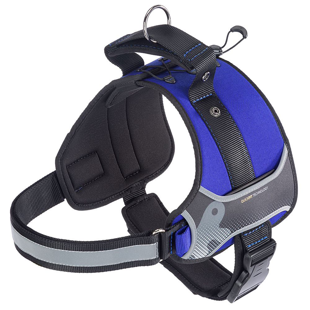 HERCULES LARGE BLUE