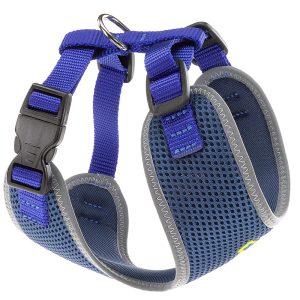 NIKITA  S   BLUE