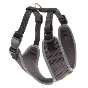 NIKITA M BLACK