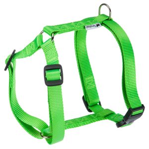 _ CHAMPION P LARGE-HARNESS GREEN