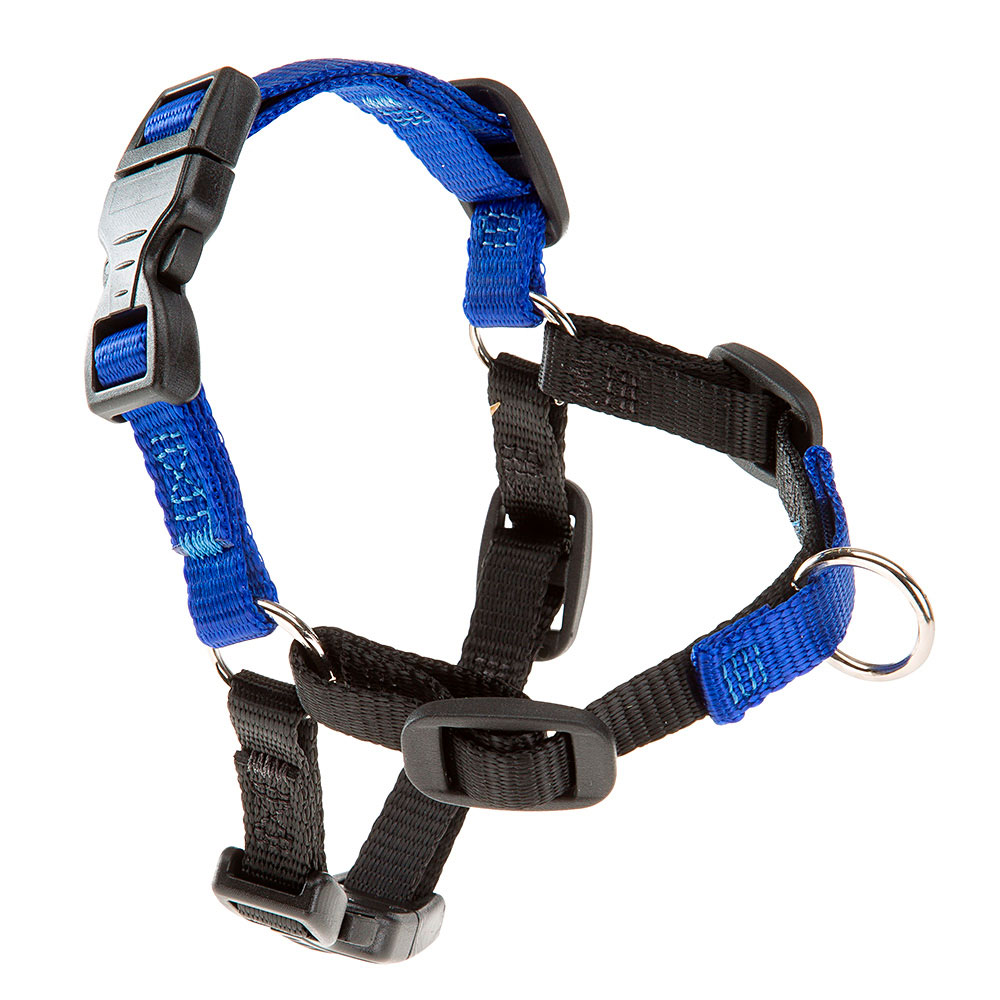COACH P S-M HARNESS BLUE