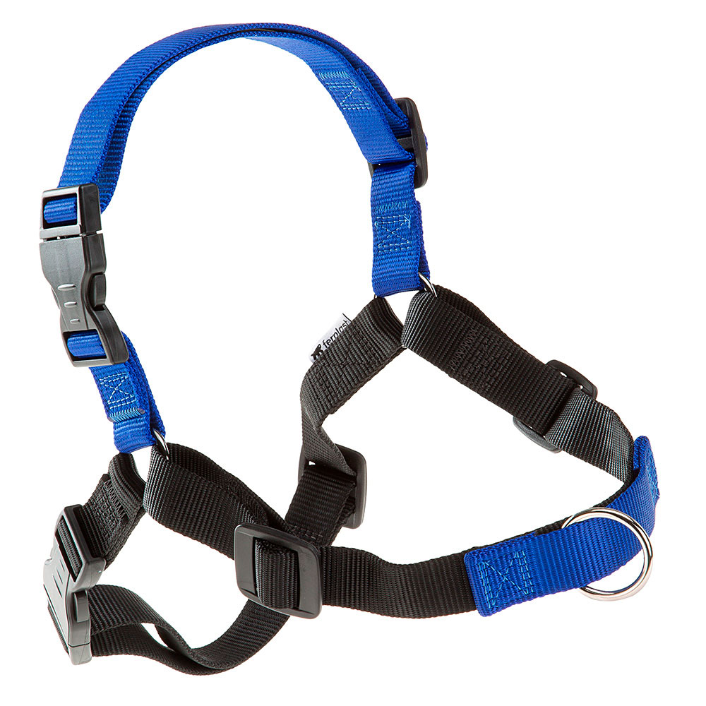 COACH P L-XL HARNESS BLUE