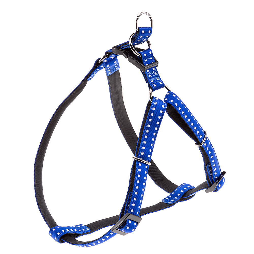 CRICKET P LARGE HARNESS BLUE