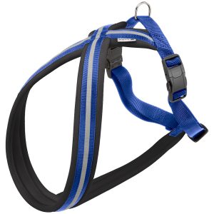 DAYTONA CROSS XS HARNESS BLUE