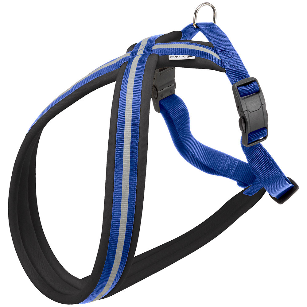 DAYTONA CROSS P S HARNESS BLUE