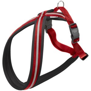 DAYTONA CROSS P L HARNESS RED