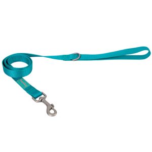 Basic Nylon Leash TURQUOISE 20mm - повод 20/120 - тюркоаз