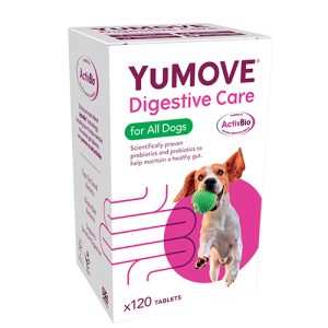 YuDigest 120 - овкусени пробиотични таблетки за възстановяване на чревната микрофлора