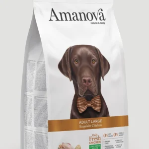 amanova exquisite adult large chicken 01