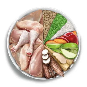 amanova exquisite adult medium chicken 03