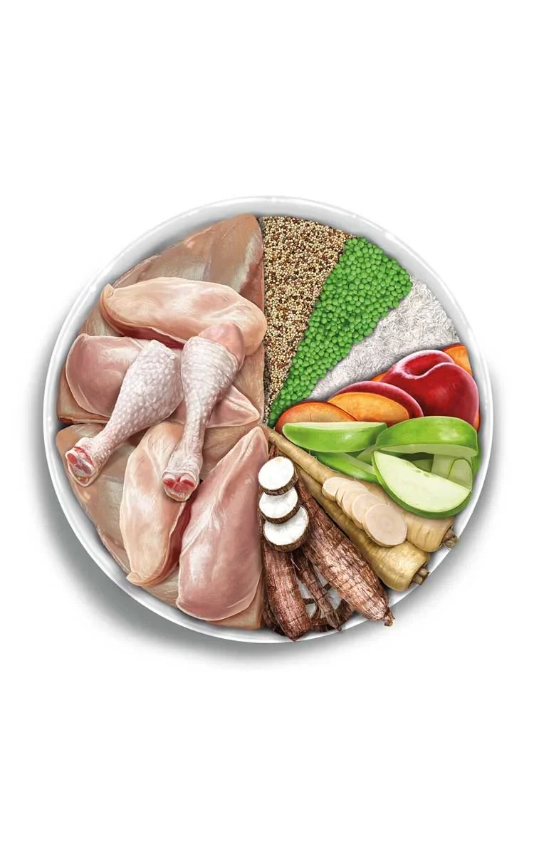 amanova exquisite adult medium chicken 03