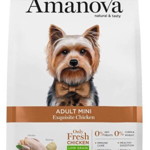 amanova exquisite adult mini chicken 01