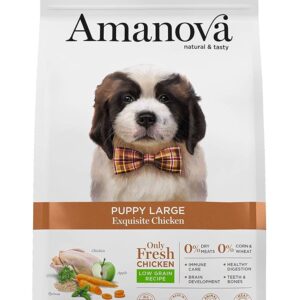 amanova exquisite puppy large chicken 01