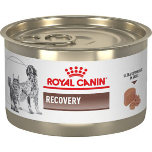 royal canin gastrointestinal dog cat recovery