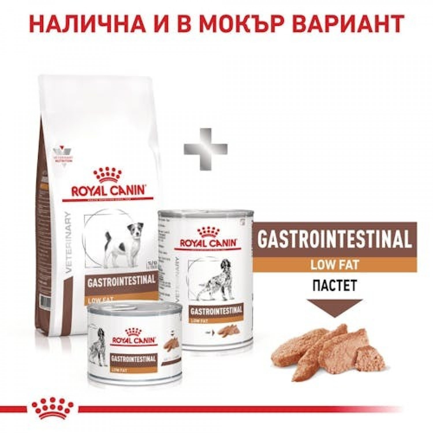 royal canin gastrointestinal low fat small dog1